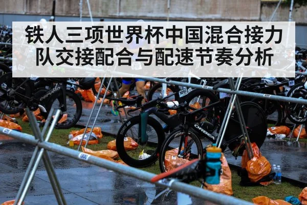 铁人三项世界杯中国混合接力队交接配合与配速节奏分析